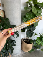 Copal Palo Santo Incense Sticks