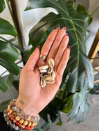 8-Piece Cowrie Shells