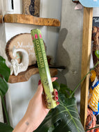 Good Health Incense Sticks HEM Brand (Buena Salud)
