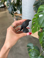 Black Obsidian Crow / Raven Crystal Carving