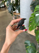 Load image into Gallery viewer, Black Obsidian Crow / Raven Crystal Carving
