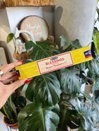 Satya Blessings Incense Sticks 15 grams