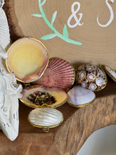Load image into Gallery viewer, Natural White Scallop Shell Coin Purse with Enchanted Glamour Into the Depths Siren Herbs
