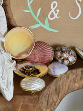 Load image into Gallery viewer, Natural Scallop Shell Coin Purse with Enchanted Glamour Into the Depths Siren Herbs
