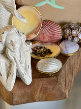 Load image into Gallery viewer, Natural Scallop Shell Coin Purse with Enchanted Glamour Into the Depths Siren Herbs
