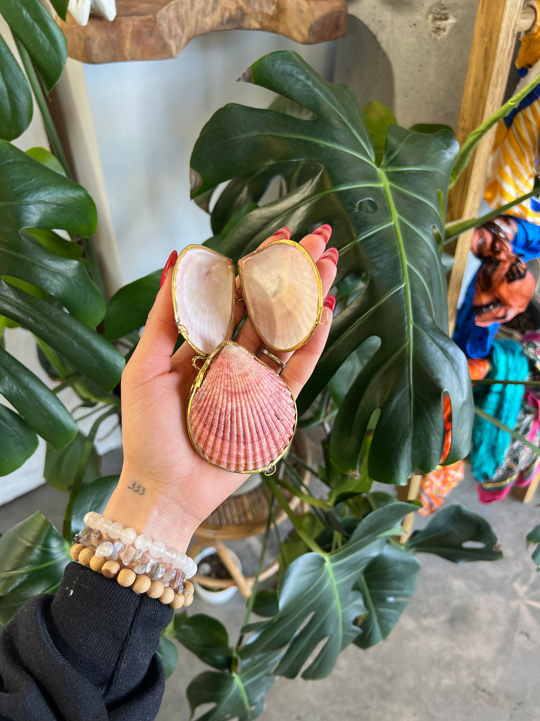 Natural Scallop Shell Coin Purse with Enchanted Glamour Into the Depths Siren Herbs