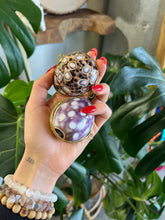 Load image into Gallery viewer, Natural Cowrie Shell Coin Purse with Enchanted Glamour Into the Depths Siren Herbs
