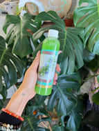 Rosemary (Romero) Spiritual Water
