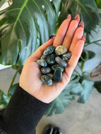 Moss Agate Crystal Tumble Small