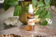 Canela / Cinnamon Spray (Prosperity, Luck, Power)