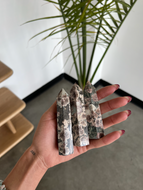 Green Flower Jasper (Rhyolite)