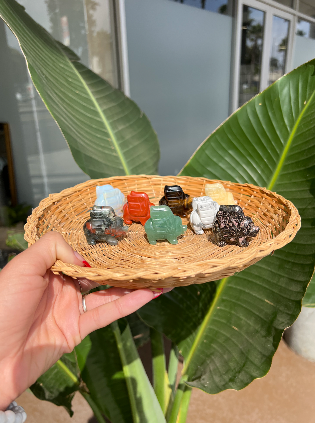 Intuitively Picked Flying Pig Crystal
