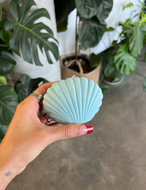 Shell Candle - Light Blue (Baby Blue / Powder Blue)