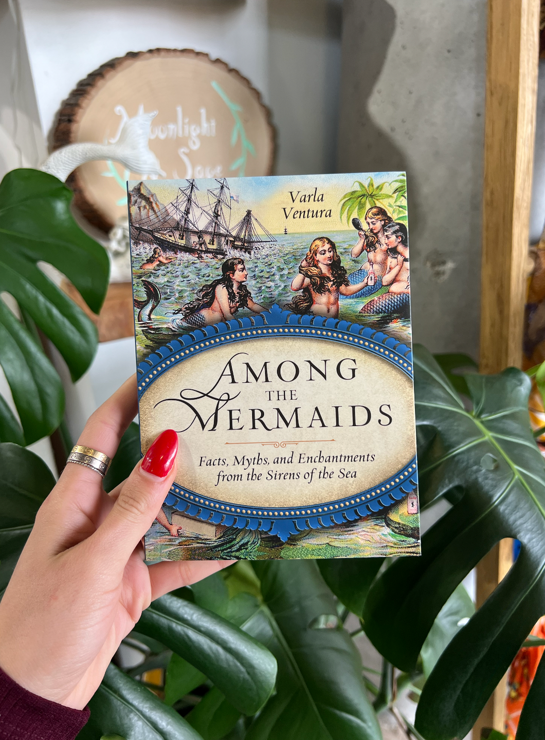 Among the Mermaids: Facts, Myths, and Enchantments from the Sirens of the Sea Paperback Book