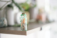 Money Drawing Spell Jar Kit