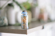 Psychic Dream Spell Jar Kit