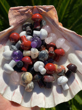 Load image into Gallery viewer, Intuitively Picked Mushroom Crystals + Randomly Picked Mushroom Crystal + Pocket Crystals
