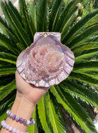 Flower Agate Gemstone Bracelet 8mm bead